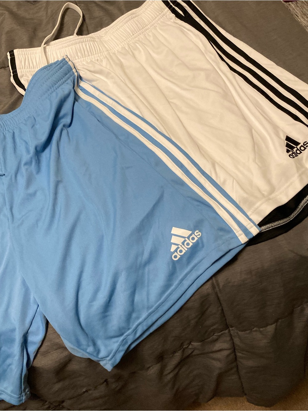 Lot of 2 adidas Light Blue and White Athletic Shorts - 2-Pack